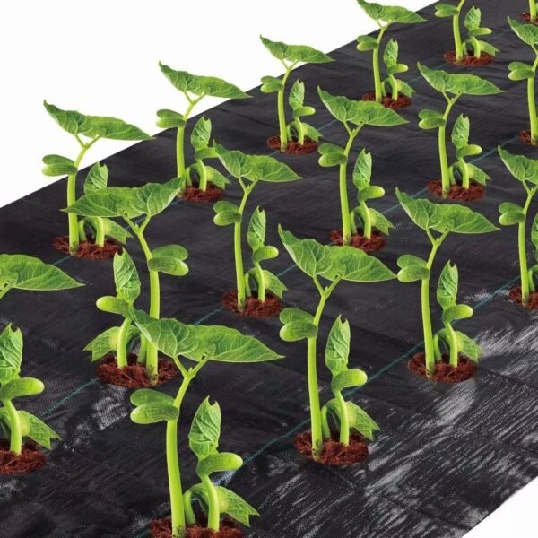 Agfabric Easy-Plant Weed Block for Raised Bed Outdoor Garden Weed Rugs Garden mat for Radish 3.0oz 4 x6 with Planting Hole Dia 6